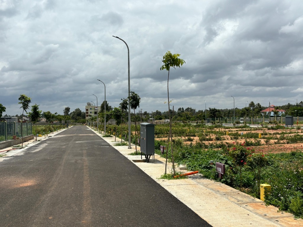 Earthis Akash Wide Asphalt Avenue Road