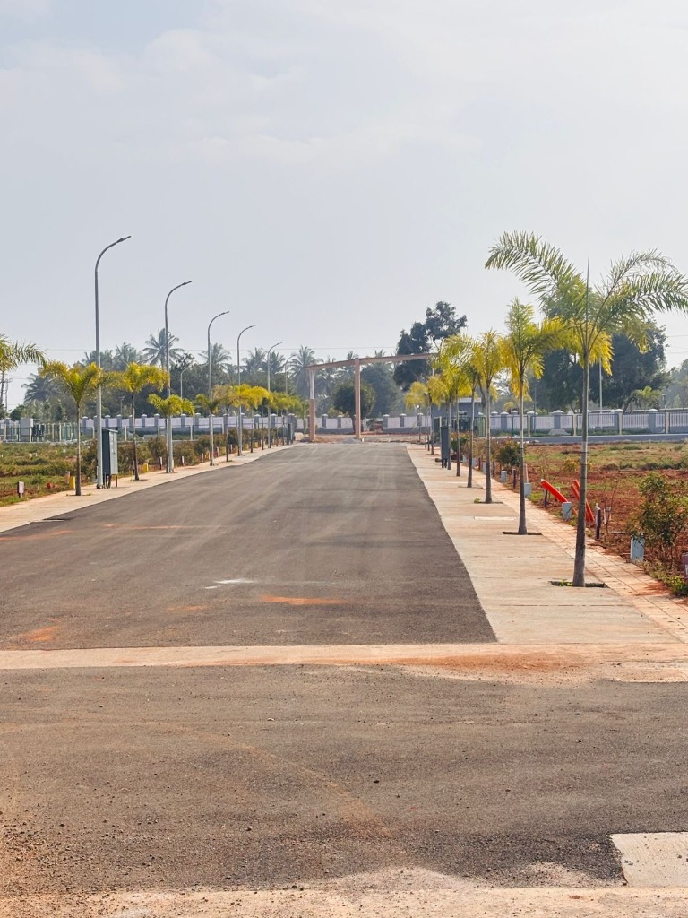 Sunshine Exotica Avenue Roads & Landscaping